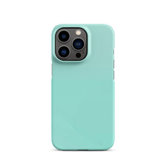 Jade Green Snap case for iPhone